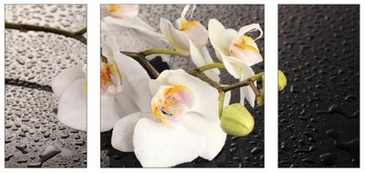 Керамічна панель Триптих – орхідея на склі (300Х600+600х600+300Х600) Загальне споживання 740 Вт до 24 м2 kp58 фото